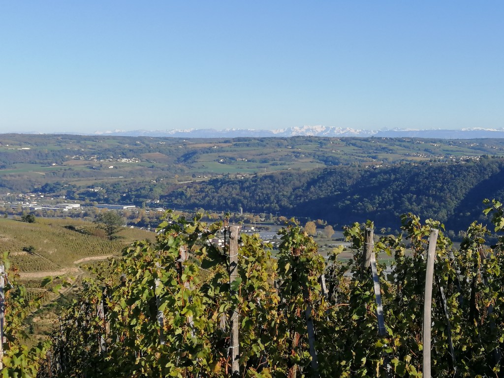 Le Domaine de Pimotin