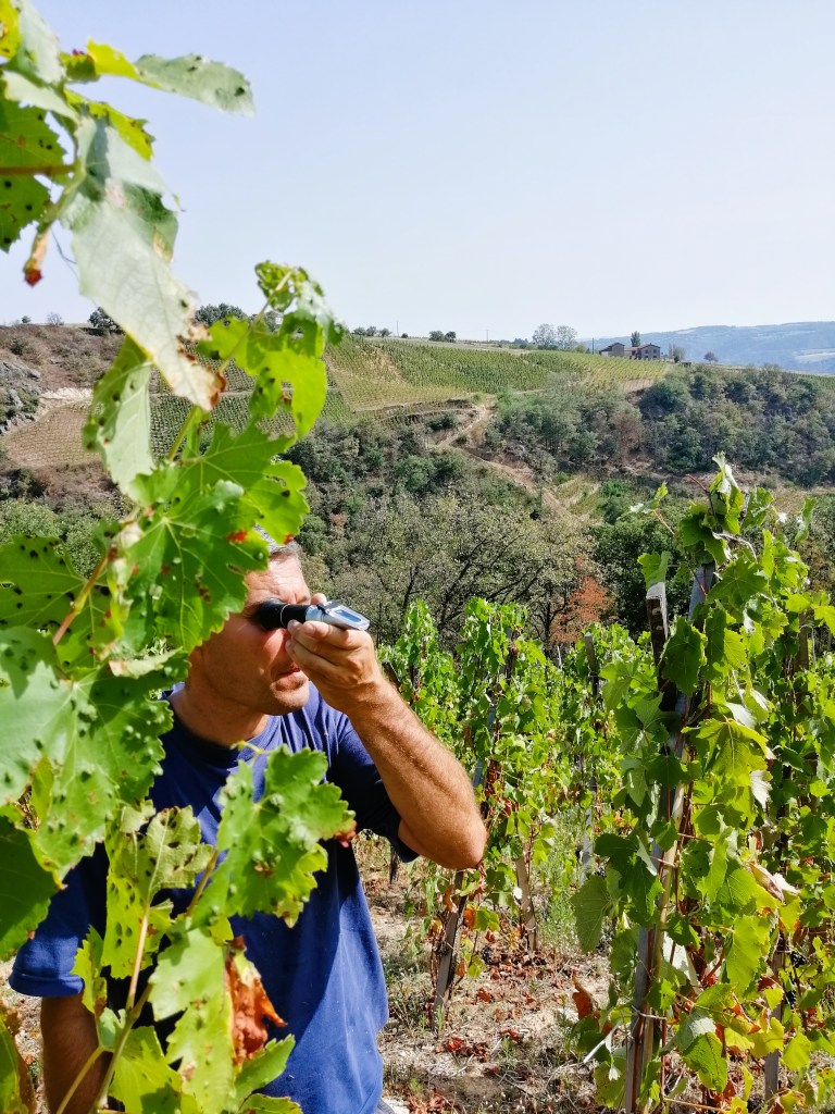 Le Domaine de Pimotin mesure maturité