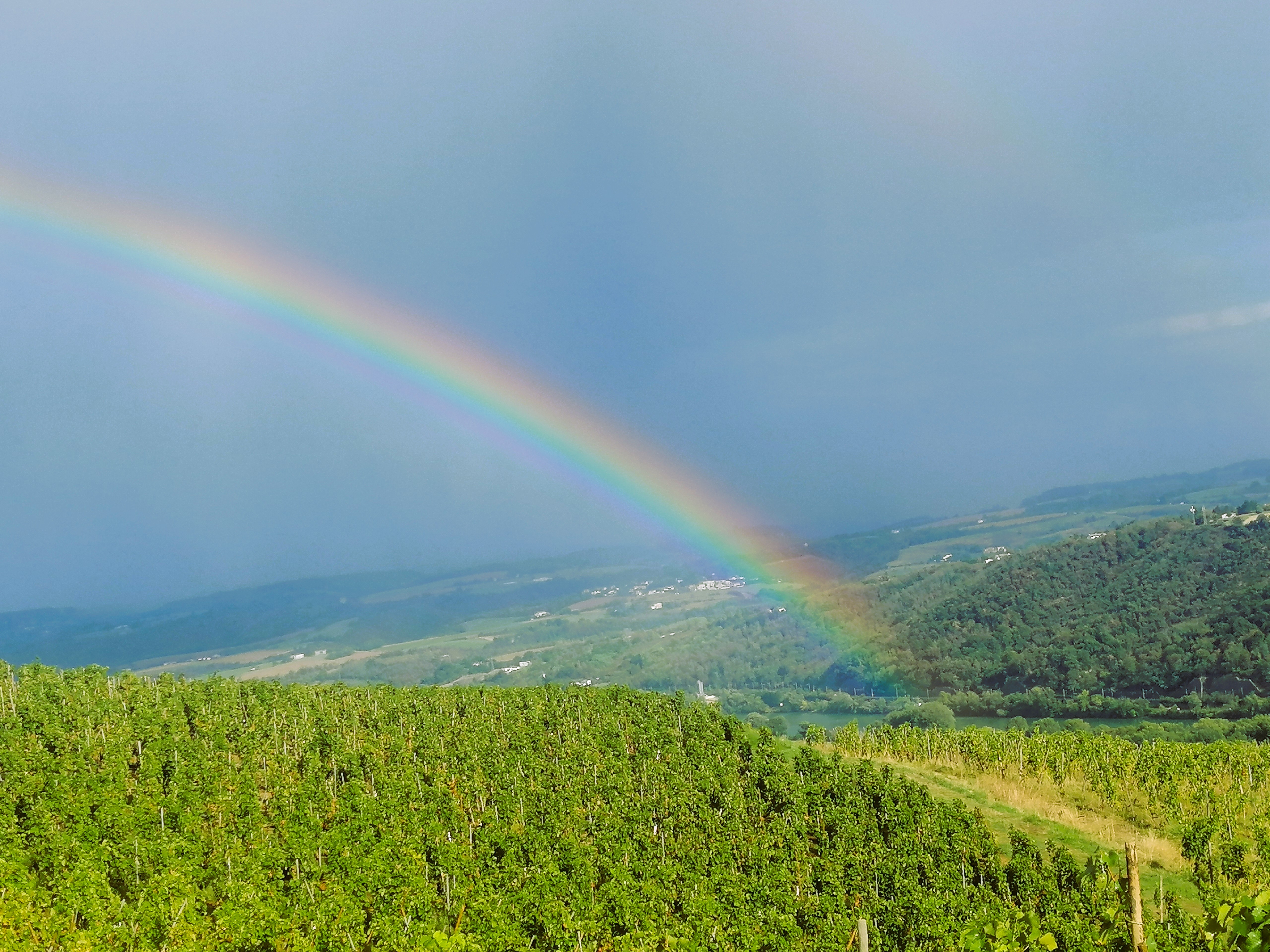 Domaine Pimotin, vue du Domaine